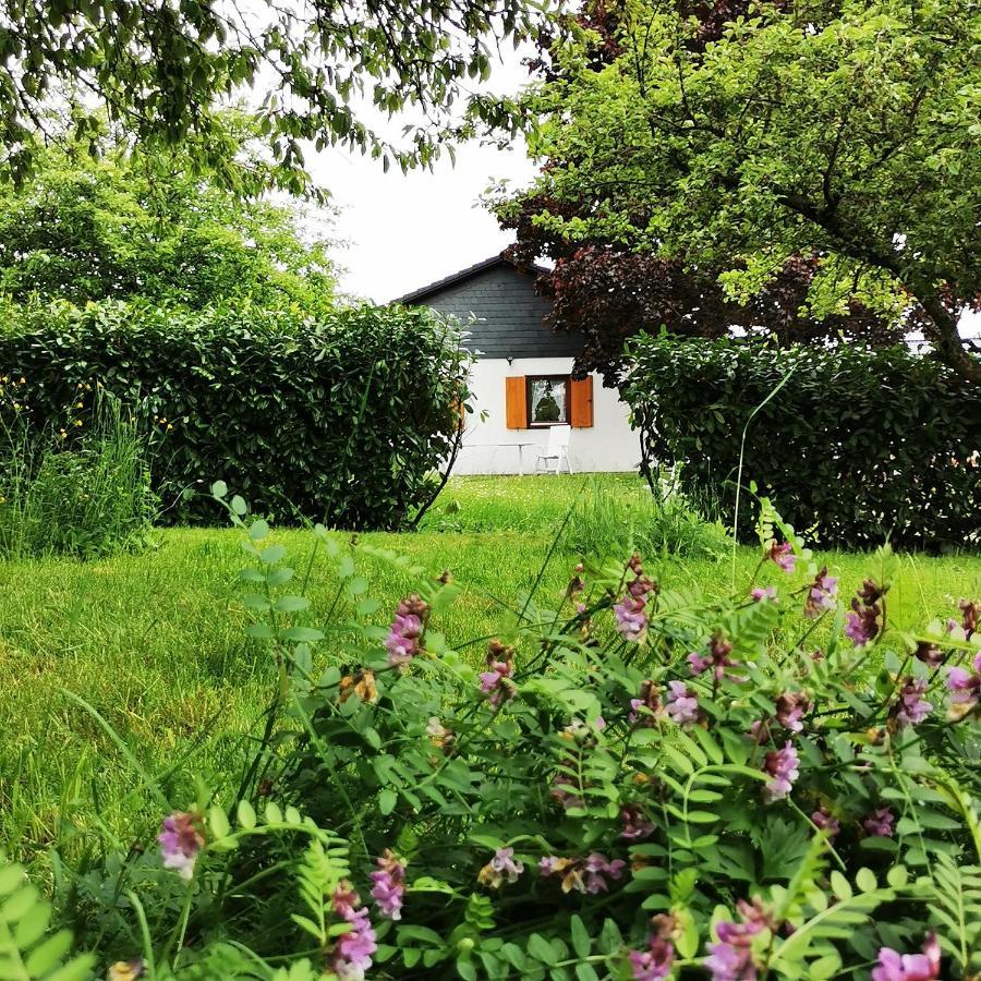 Bb19 Eifel-Ferienhaus Am Moseltal Mit Saunahaus Beuren  Exterior photo